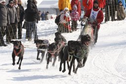 Lenk 2012 SM